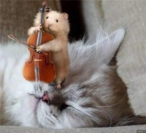 13:18:07 GMT-0500 (CDT)