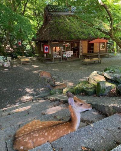 176830580_305914200904589_1141368470763186180_n