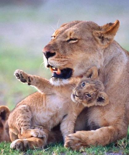 21:52:21 GMT-0500 (CDT)