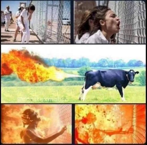 68396779_2283590785070963_3873257131654250496_n