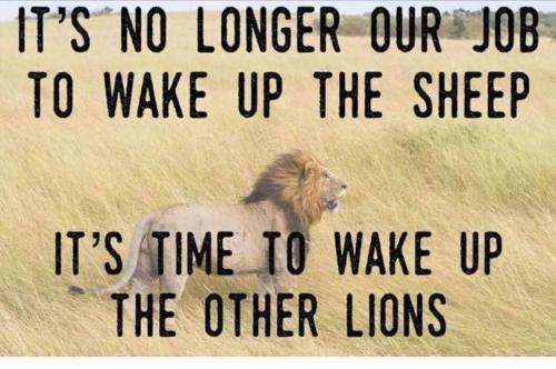 150219787_3846484692074868_3229310070582780036_n