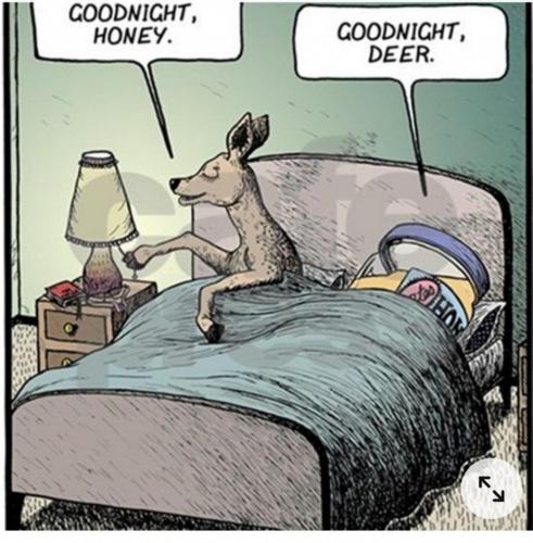 08:23:02 GMT-0400 (EDT)