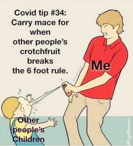 92477294_516929652259845_7759061524932460544_n