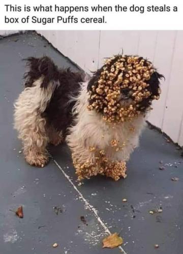 22:56:30 GMT-0700 (PDT)