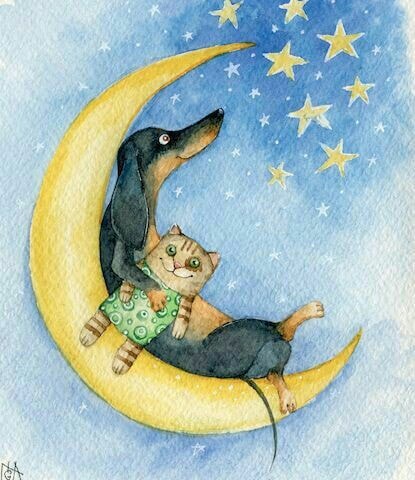 78253380_2636229093108947_1652187297870774272_n