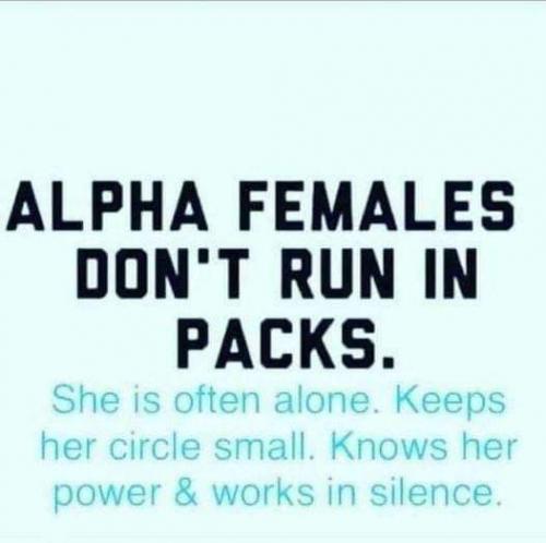 09:17:47 GMT-0400 (EDT)