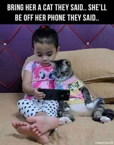 18:47:11 GMT-0700 (PDT)