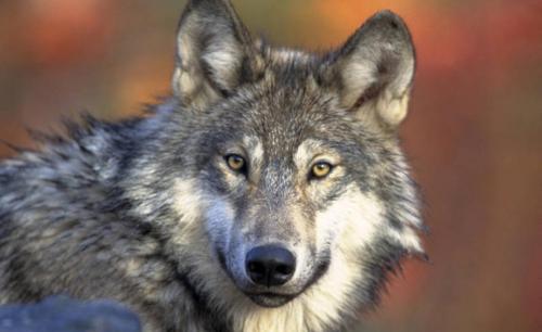 179538198_310037840690249_7977443167988782891_n