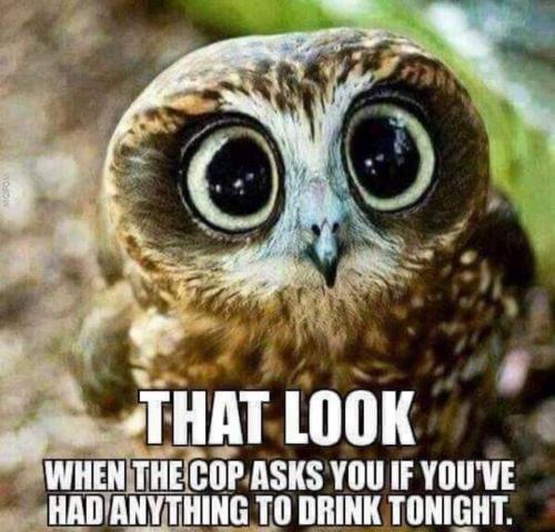 22:00:42 GMT-0700 (PDT).image