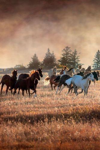 179533926_1563962047136473_6276005340327730940_n