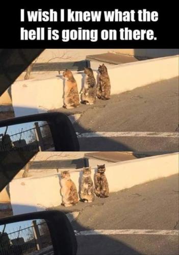 15:11:29 GMT-0700 (PDT)