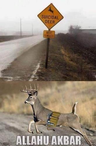 19:56:56 GMT-0500 (CDT)