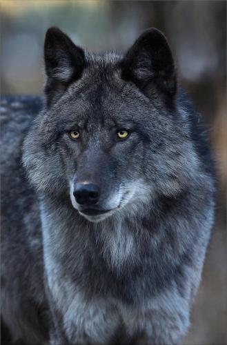 172212060_1552493601616651_8862990946846105418_n