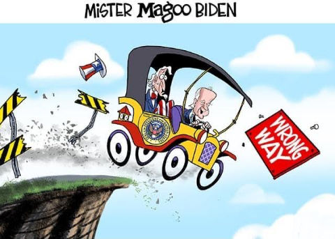 biden508
