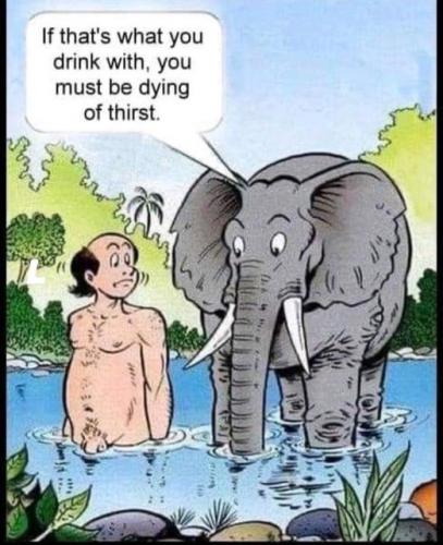 171371090_10222140699080602_8694967914312983072_n