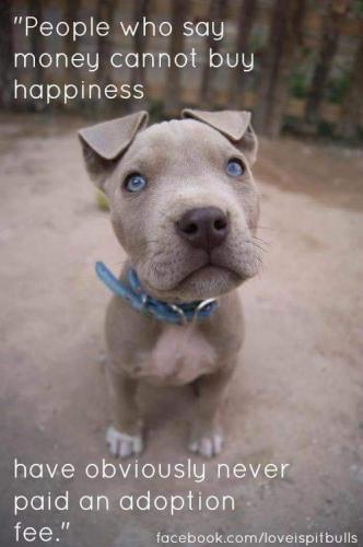 17:35:19 GMT-0500 (CDT)