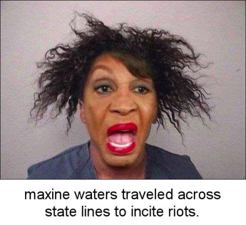 maxine44