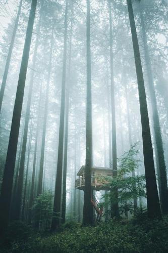 66777968_2500418850193678_7902821278694768640_n