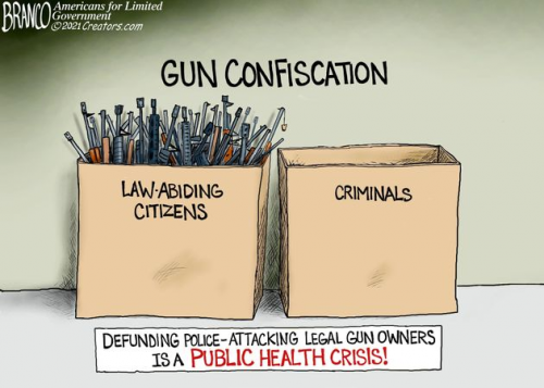 gun confiscation