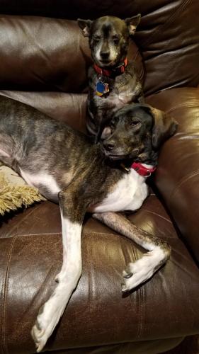 14:07:42 GMT-0400 (EDT)