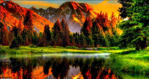 Screenshot 2021-04-25 7.08.07 AM