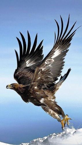 176430455_1559214840944527_1455271551700419797_n