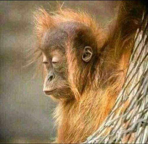 21:37:37 GMT-0400 (EDT)