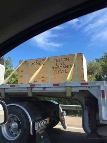 13:03:01 GMT-0700 (PDT)