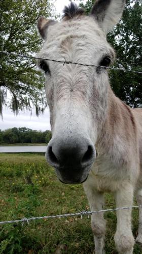 tumblr_8980ec3b0644918015dedc4a84a4b42b_f1bd975b_1280