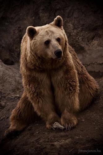 179680335_1563287487203929_2351607193371398843_n