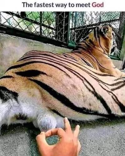 107274056_3272864756086715_8285986928006394235_n