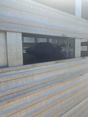 18:34:34 GMT-0400 (EDT)