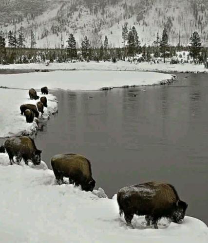 177338575_1560631877469490_8501854394901368660_n