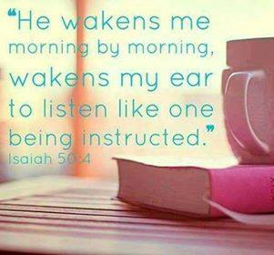 36176419_1654667371247855_1043451150533132288_n