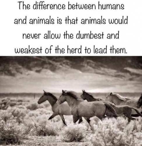 08:08:40 GMT-0400 (EDT)