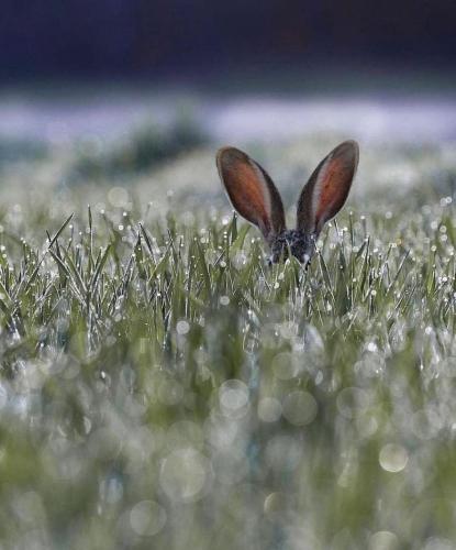 178716487_1856157834550420_1073904327286350450_n