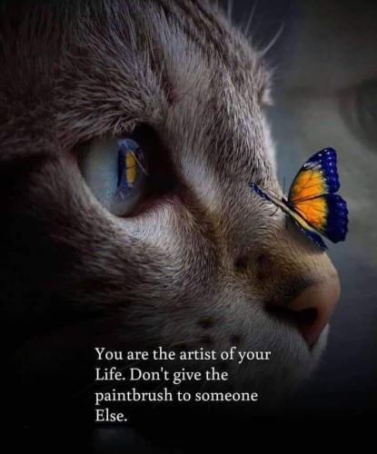 07:07:53 GMT-0500 (CDT)