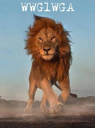 E5B1D473-A100-472D-9F55-C07C0CEF9663