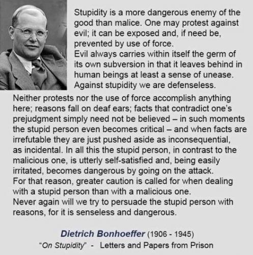 On_Stupidity