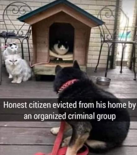 16:02:13 GMT-0700 (PDT)