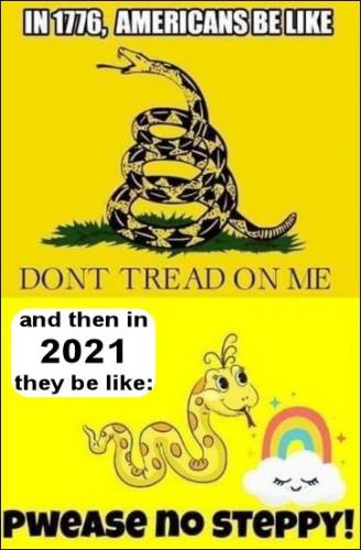 dont tread on me03