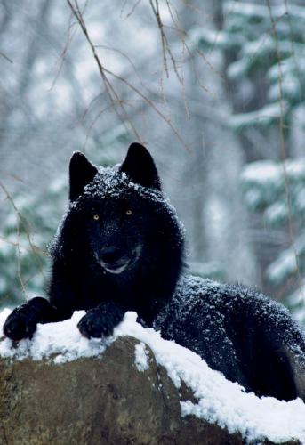 23316732_10207980057739461_1082511741150849194_n