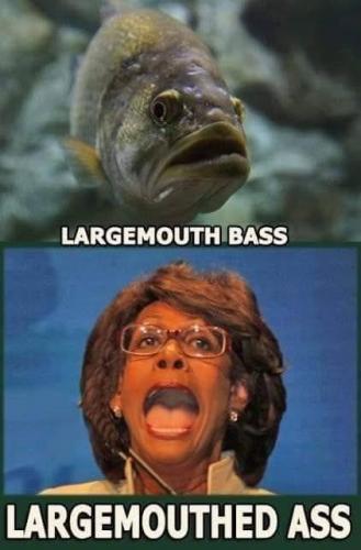 176385759_10208111757868995_1890514966042879295_n