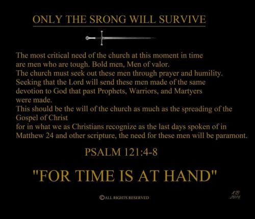 13323250_10155023915966164_1227535335286031617_o