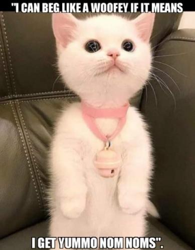 17:34:39 GMT-0700 (PDT)