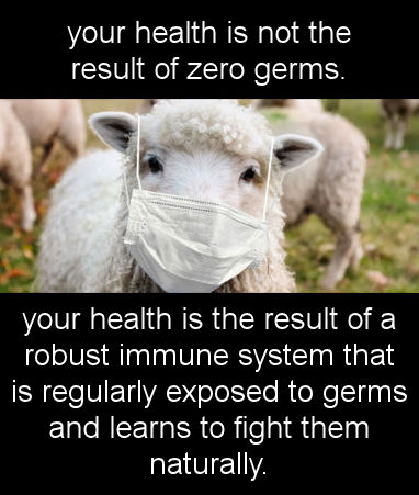 immune system01