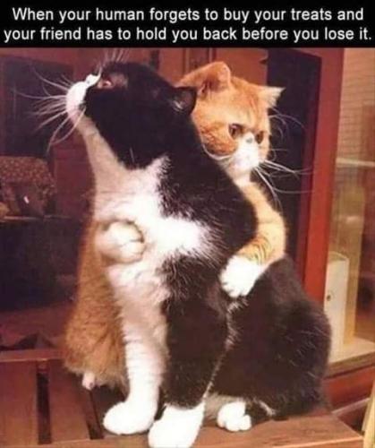 15:39:00 GMT-0700 (PDT)