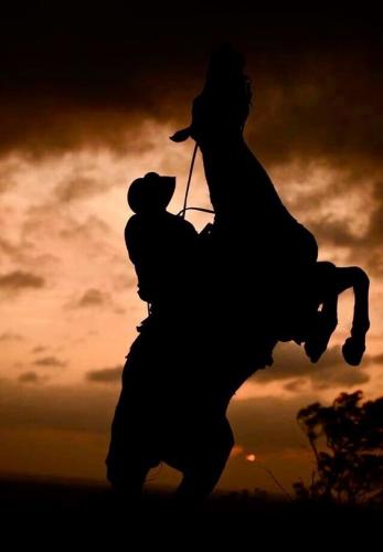 38483189669979389603b94a4c87733a