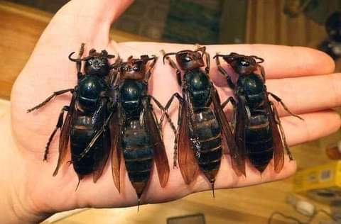 14:53:42 GMT-0700 (PDT)