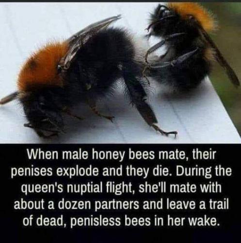 14:20:01 GMT-0400 (EDT)